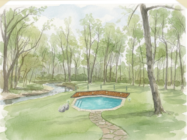 Watercolor of a woodland natural swimming pond with a stone path and planted regeneration shelf