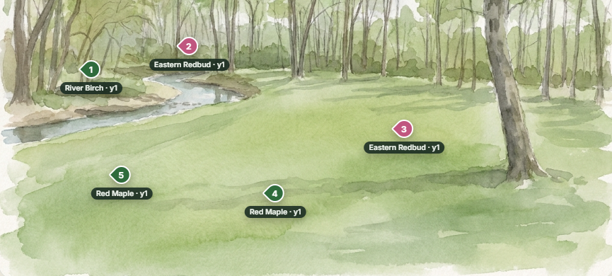 The studio canvas with pond zones being drawn in year one
