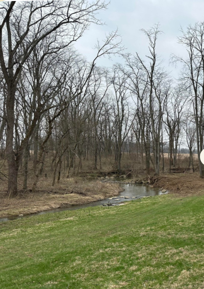 A real photo of the bare creekside yard today